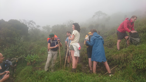 bisoke hike