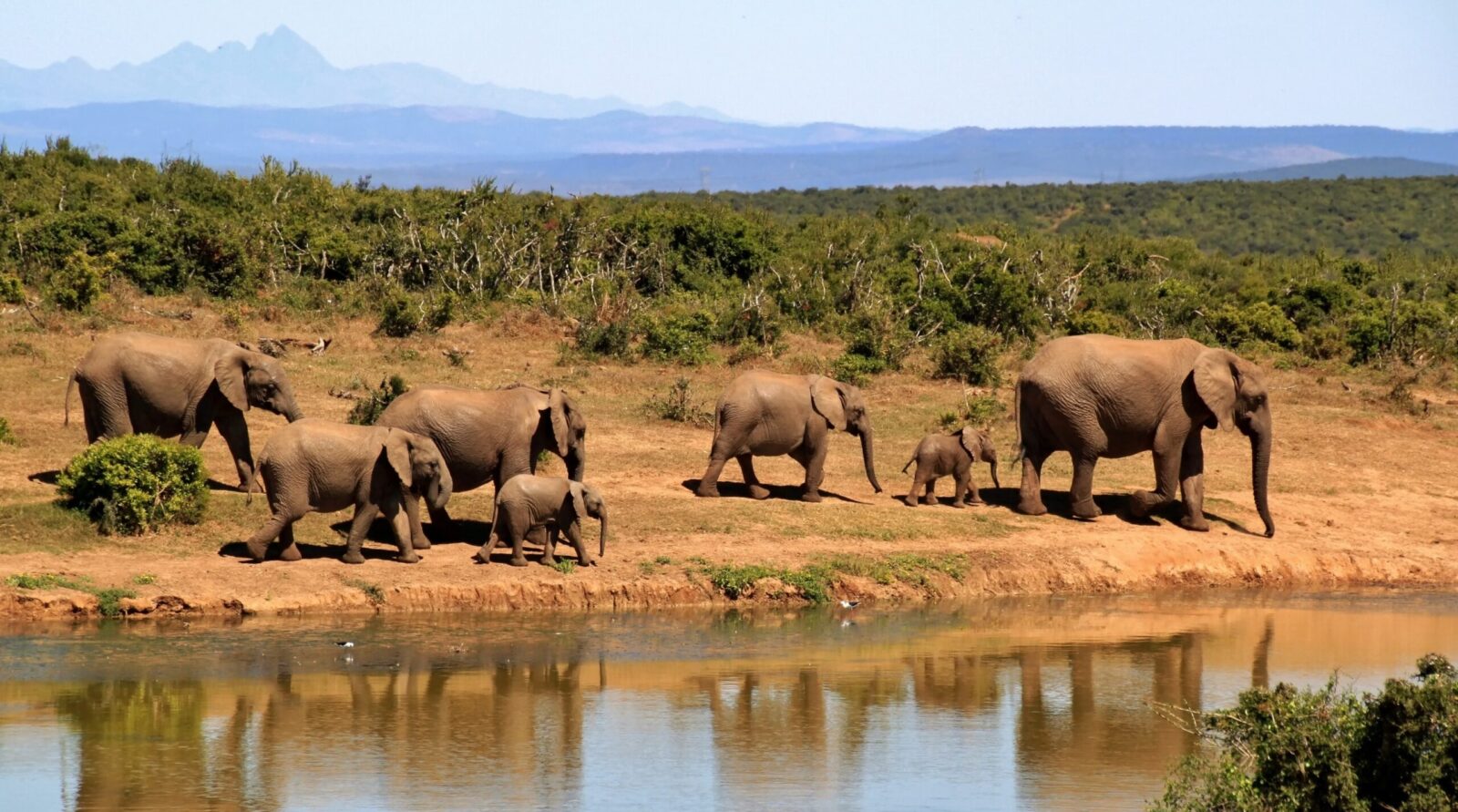 Boma National Park