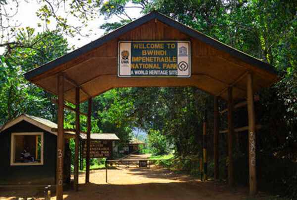 Buhoma Sector
