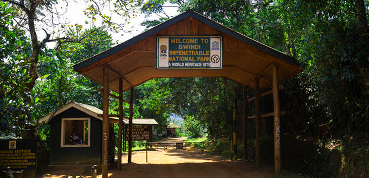 Buhoma Sector