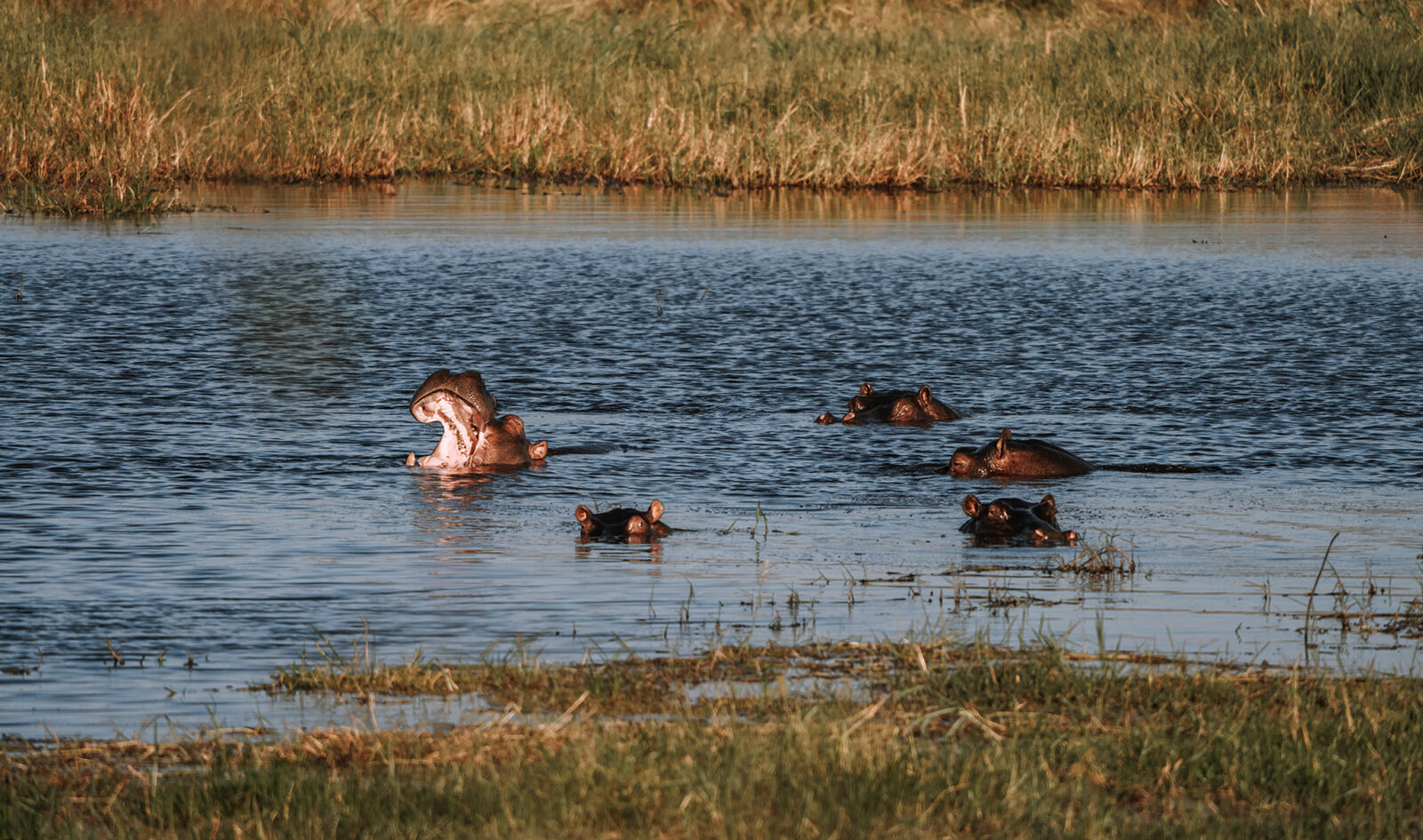 Bwabwata National Park