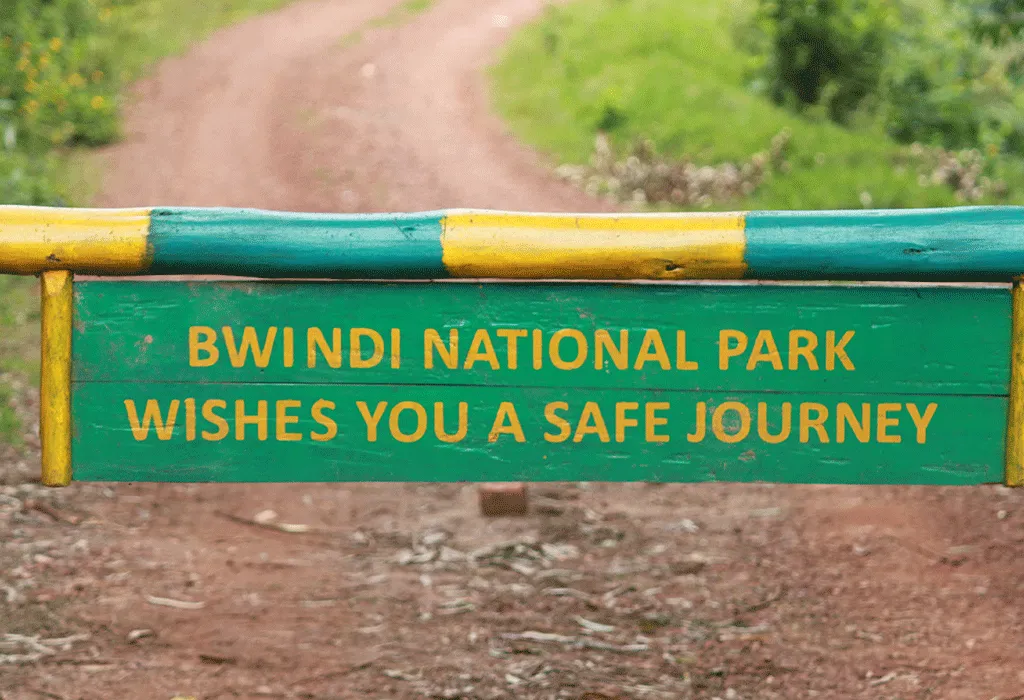 Bwindi to Kampala