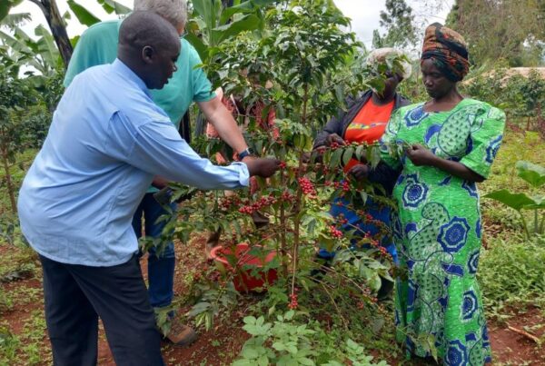 Coffee Tours near Mount Elgon: A Cultural Experience
