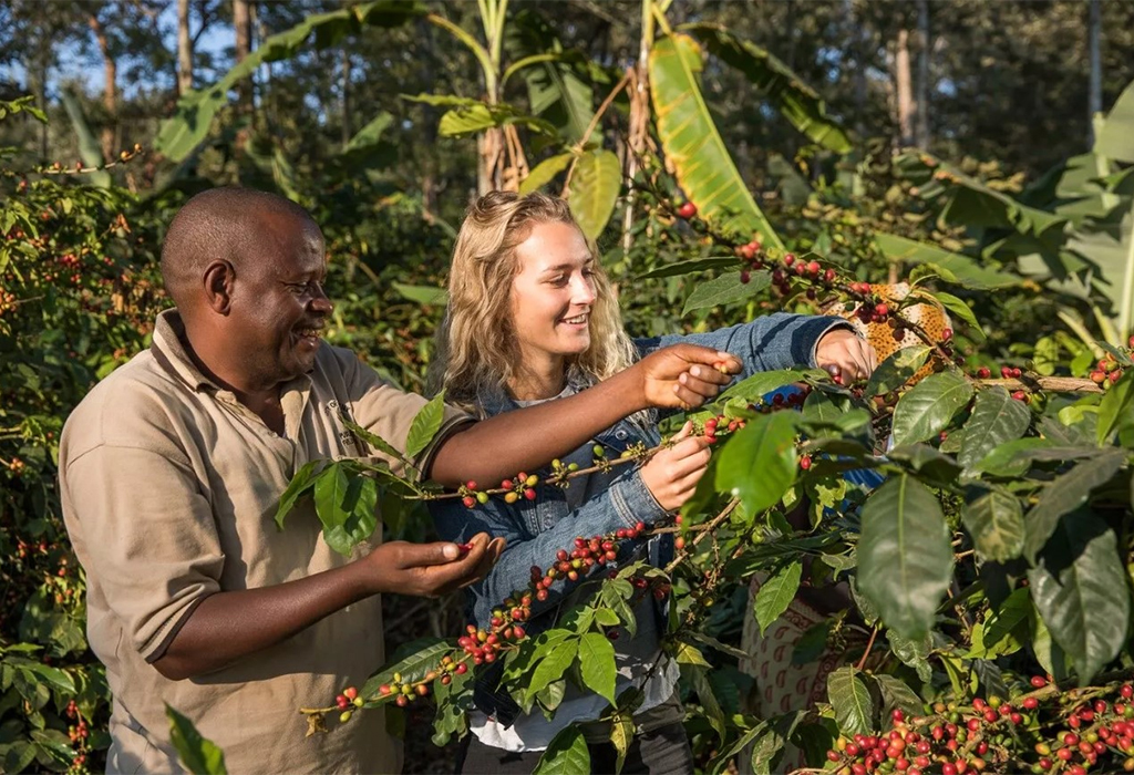 Coffee Tours near Mount Elgon: A Cultural Experience