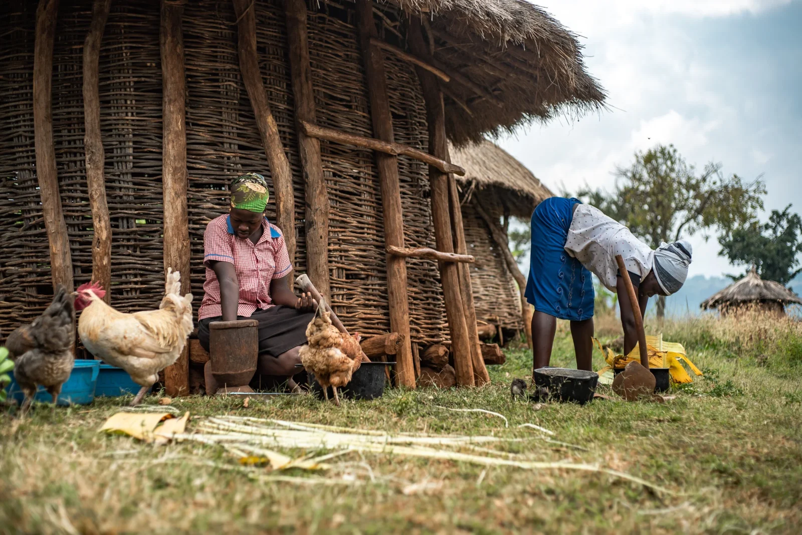 Community Tourism in Mount Elgon Region