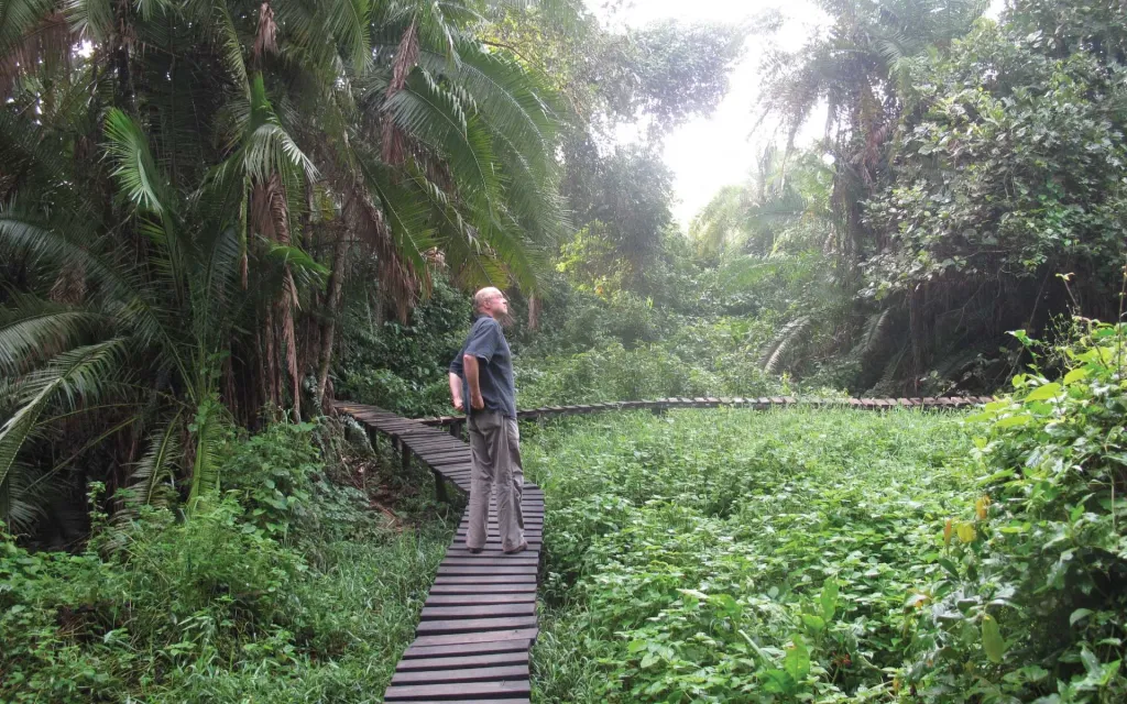 Conservation Efforts in Kibale National Park