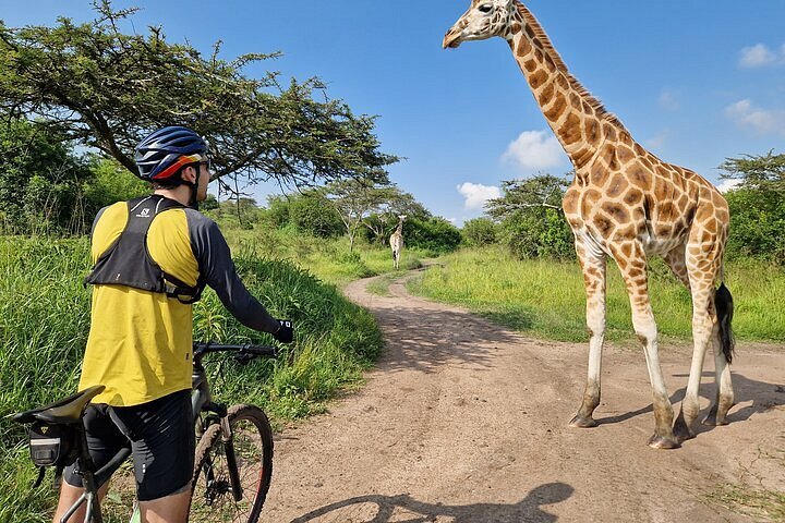 Cycling Safaris in Lake Mburo National Park