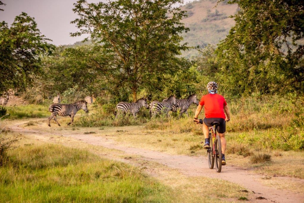 Cycling Safaris in Lake Mburo National Park