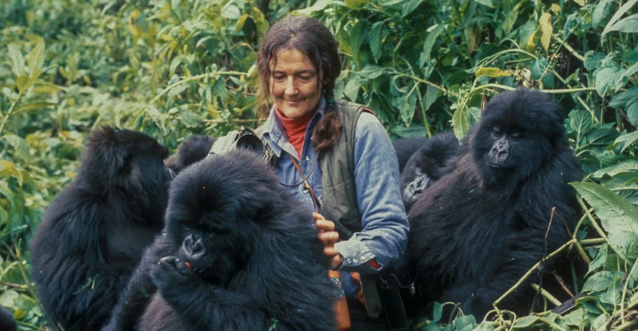 Dian Fossey