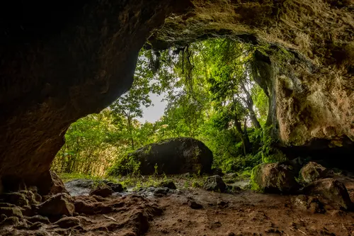 Exploring Caves of Mount Elgon National Park