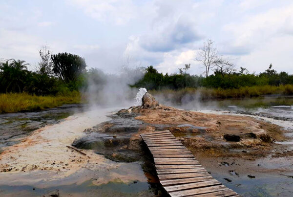Exploring Semuliki National Park: Uganda’s Birding Paradise