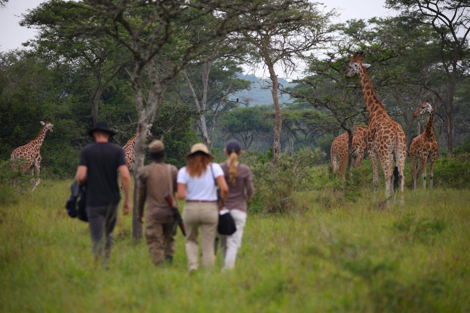 Family-Friendly Safari in Lake Mburo National Park