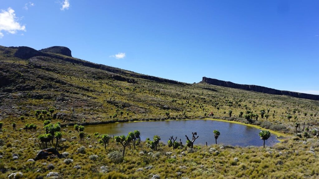 Flora and Fauna of Mount Elgon National Park