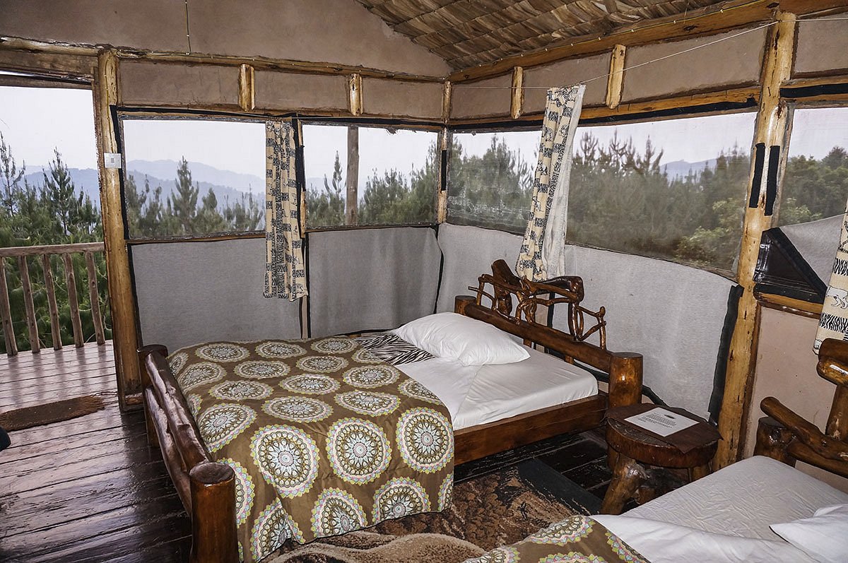 Gorilla Mist Camp
