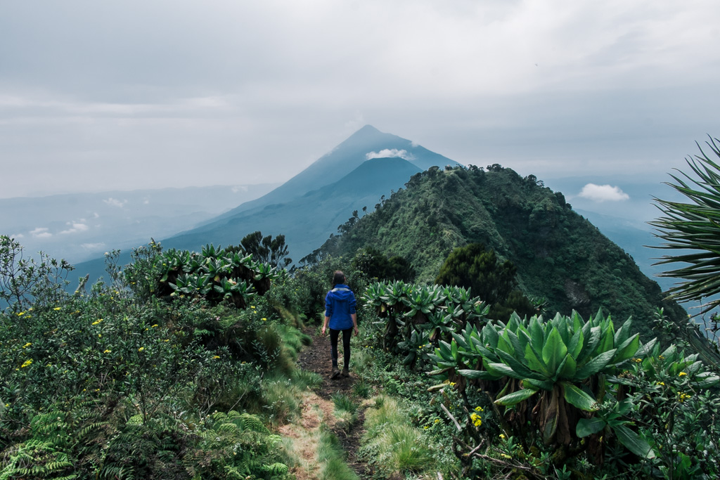 Hiking Mount Sabinyo in Mgahinga: An Adventure Guide