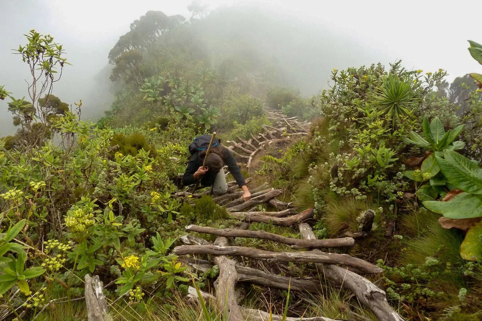 Hiking Mount Sabinyo in Mgahinga: An Adventure Guide