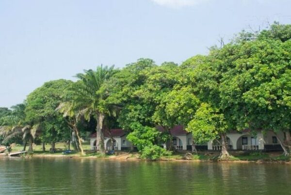 How to Festival Guide in Ssese Islands — Frequently Asked Questions for Groups