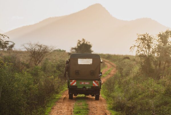 How to Get to Mount Elgon National Park