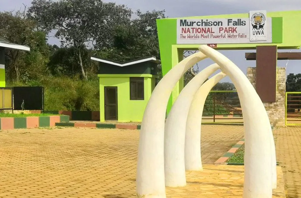 How to Get to Murchison Falls National Park