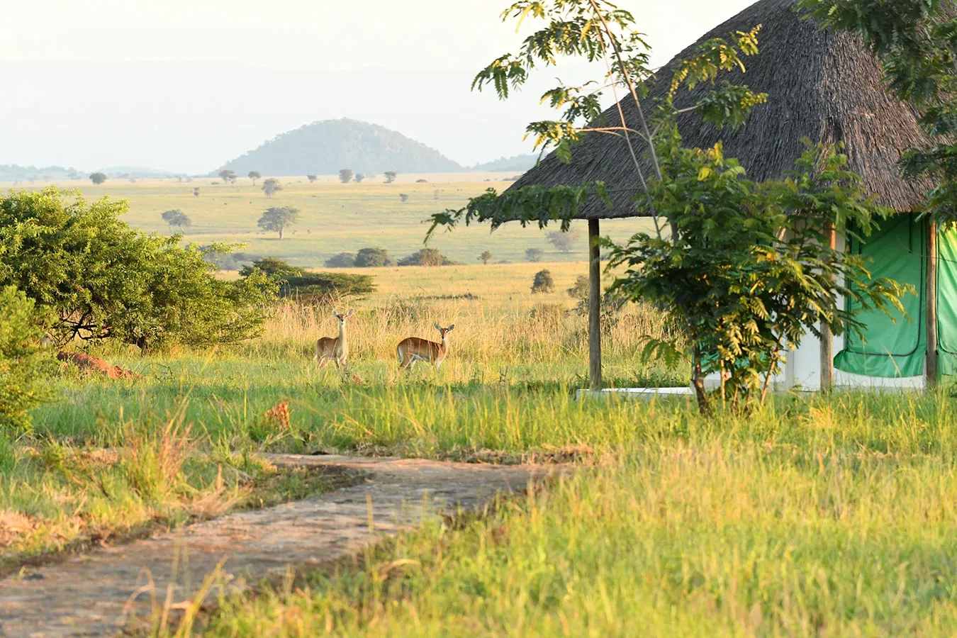 Kara-Tunga Safari Camp