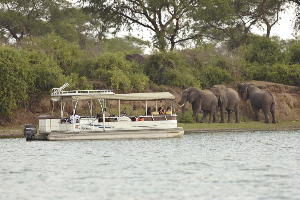 Kazinga Channel Boat Safari: Wildlife Encounters in Queen Elizabeth