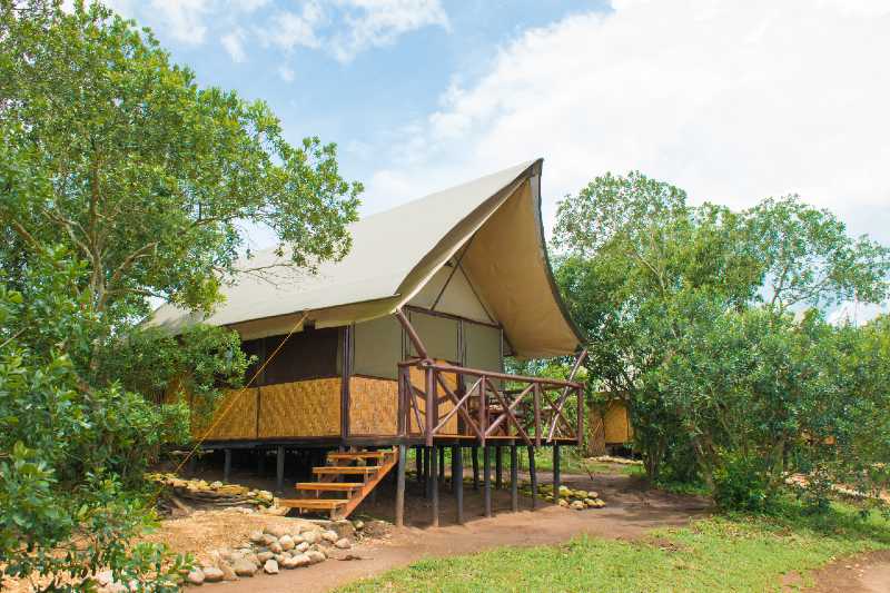 Luxury Lodges and Camps in Queen Elizabeth National Park
