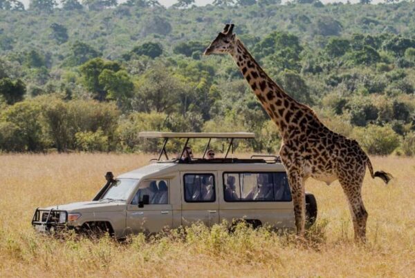 Luxury and Adventure: Why Kidepo is a Safari of a Lifetime