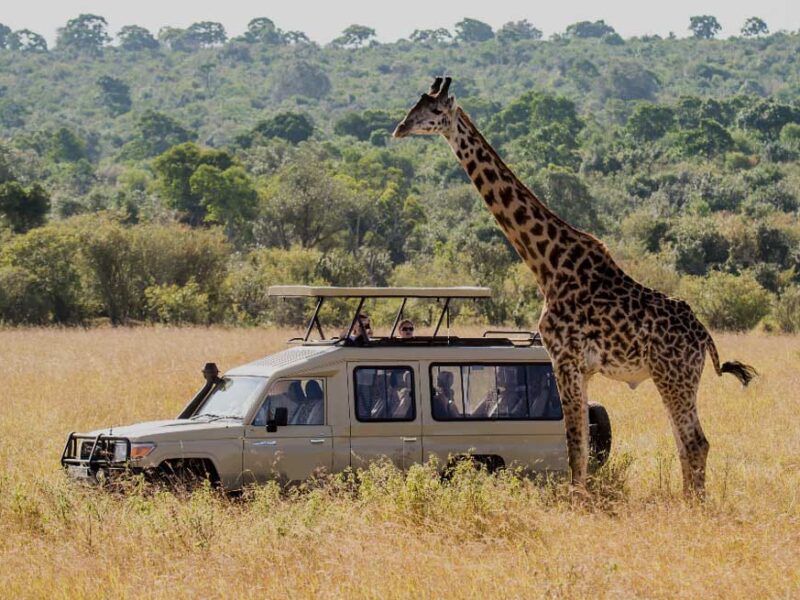 Luxury and Adventure: Why Kidepo is a Safari of a Lifetime