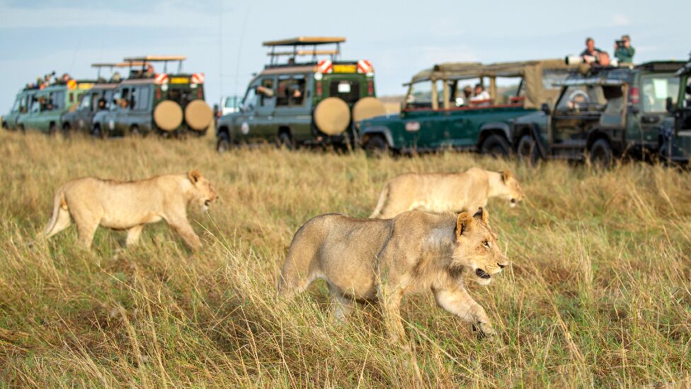 Masai Mara