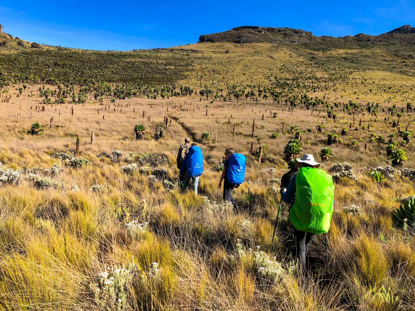 Mount Elgon Hiking Itinerary Ideas