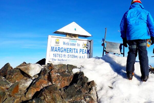 Mount Elgon vs Rwenzori: Which Trekking Adventure to Choose?