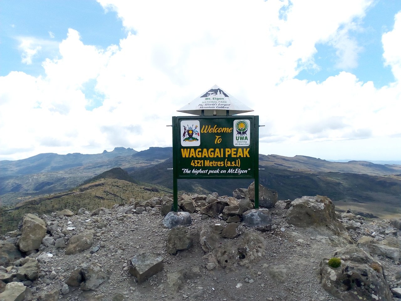 Mount Elgon vs Rwenzori: Which Trekking Adventure to Choose?