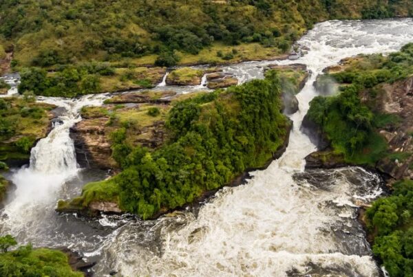 Murchison Falls National Park Safari Itinerary Ideas