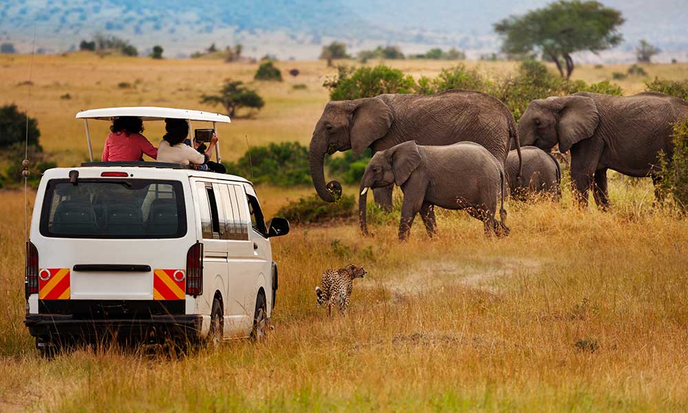 Murchison falls game drive