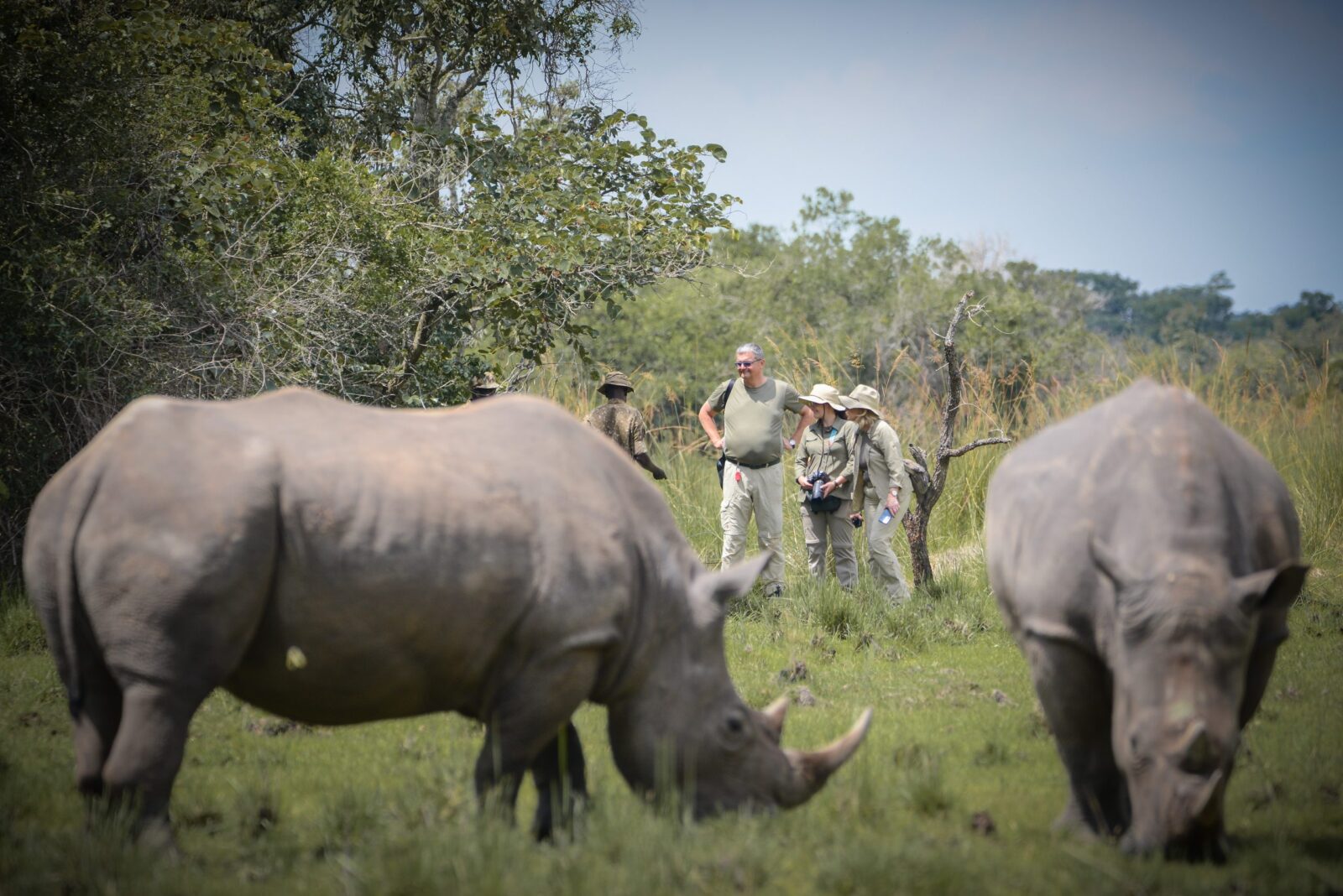 Naming a Rhino: How Uganda’s Unique Conservation Campaign Inspires Connection
