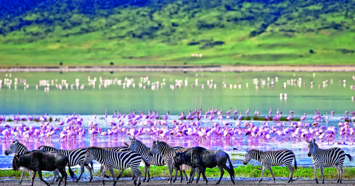 Ngorongoro Crater