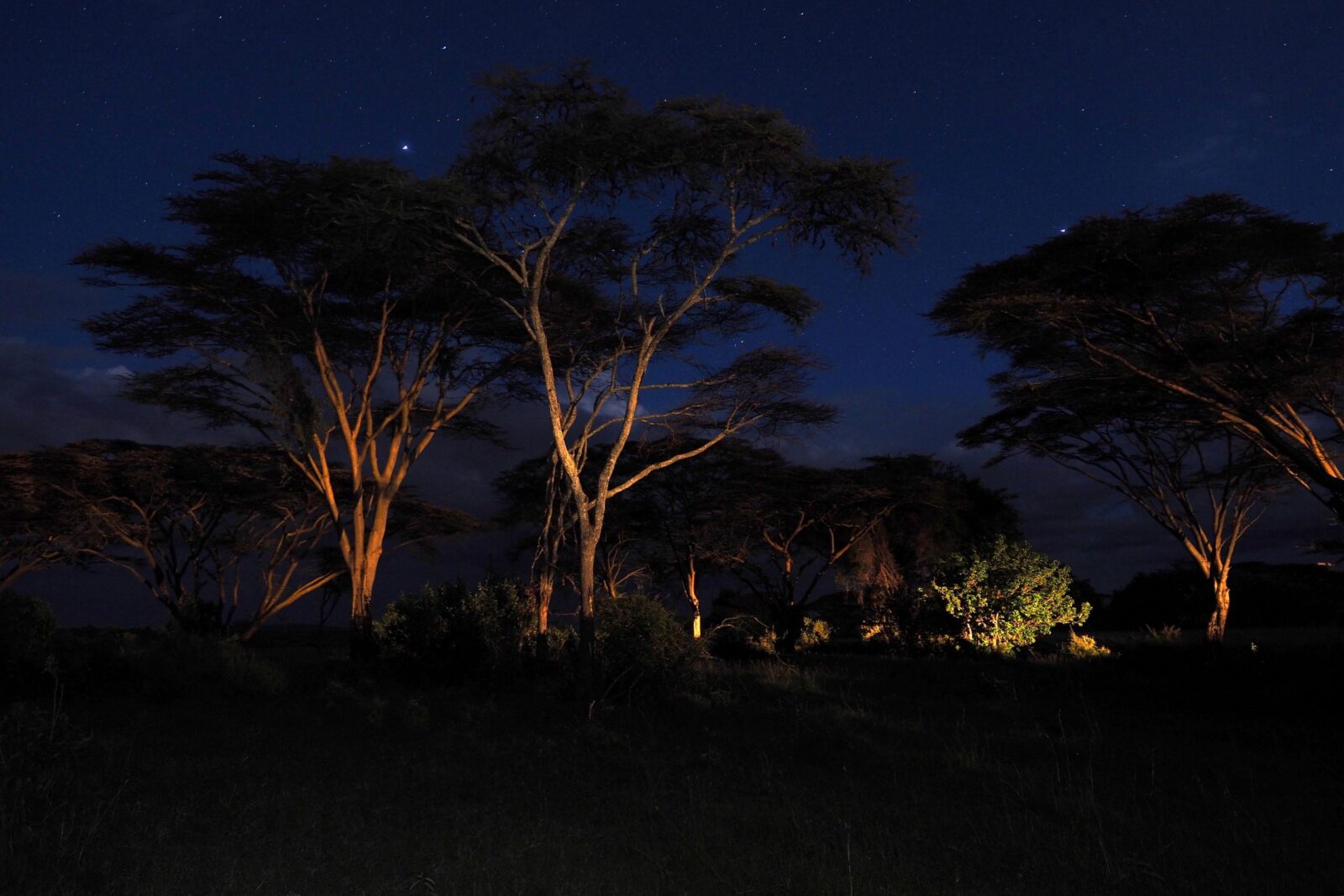 Night Safaris in Semuliki National Park