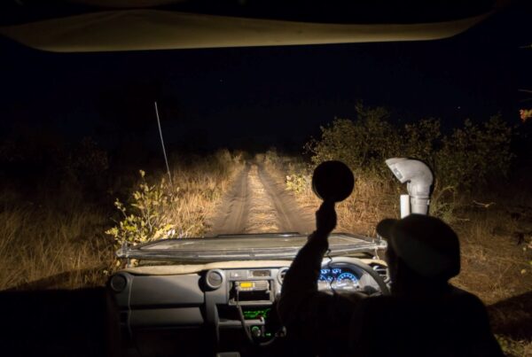 Night Safaris in Semuliki National Park