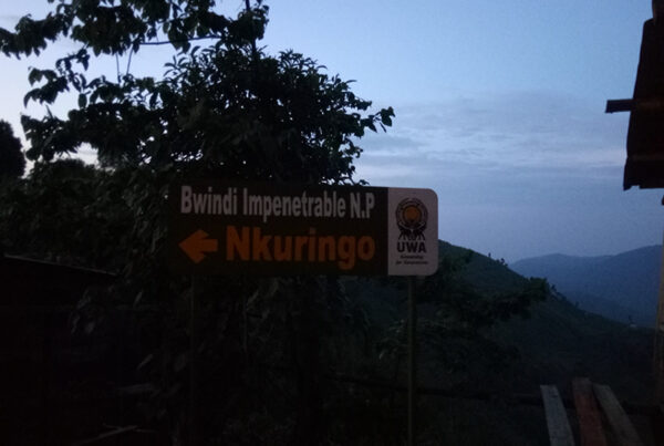 Nkuringo Sector