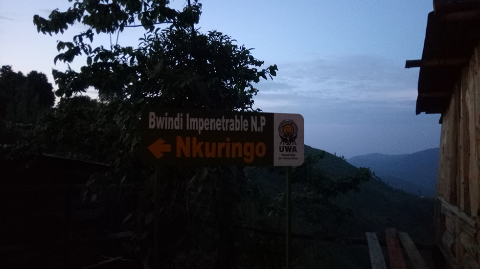 Nkuringo Sector