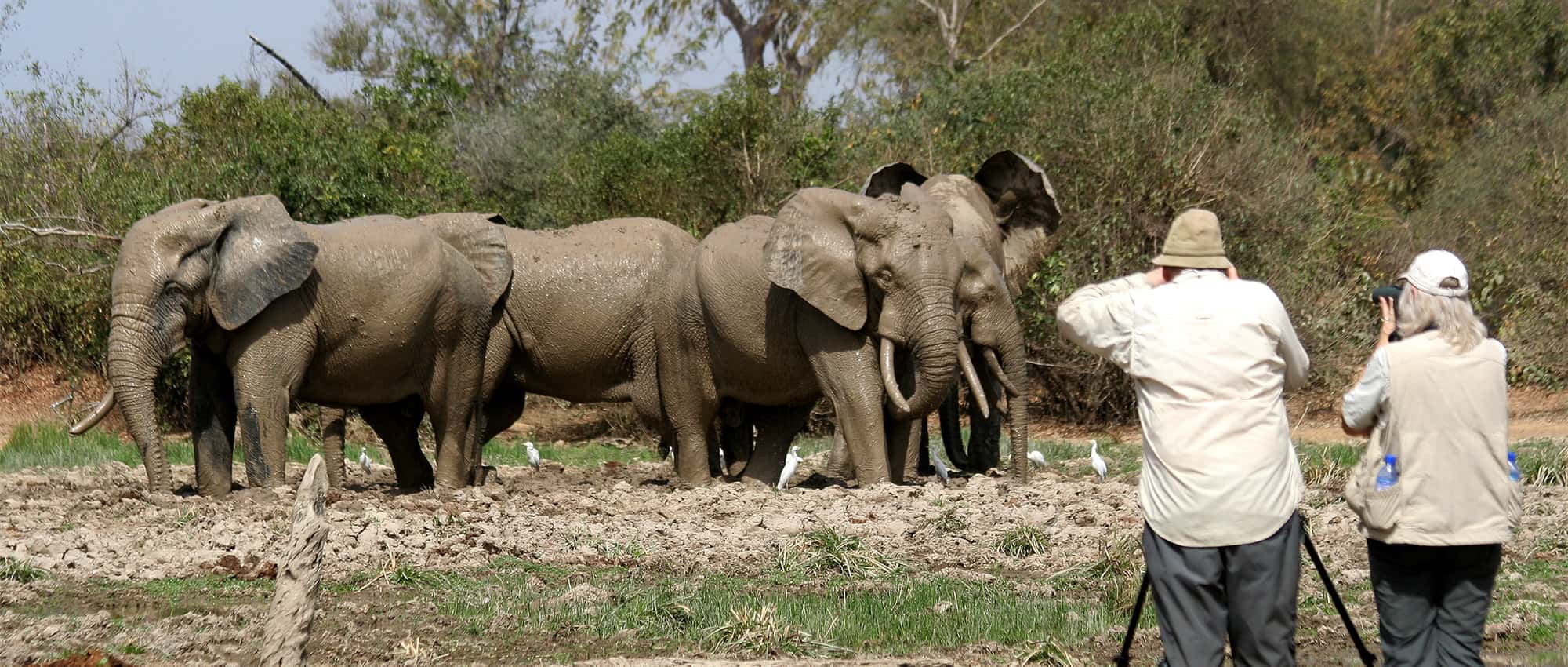 Photography Safari Tips in Queen Elizabeth National Park
