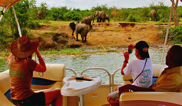 Queen Elizabeth National Park for First-Time Safari Goers
