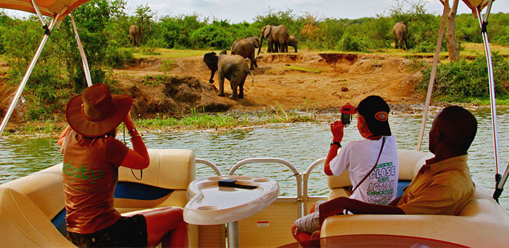 Queen Elizabeth National Park for First-Time Safari Goers