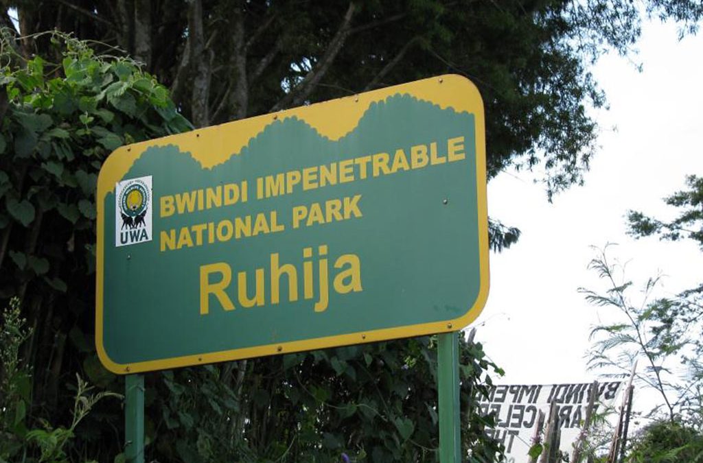 Ruhija Sector