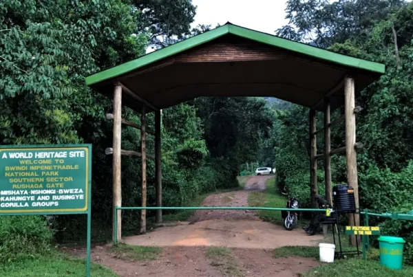 Rushaga Sector