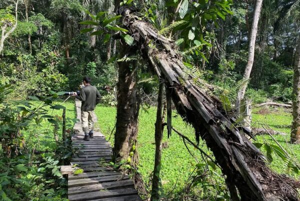 Semuliki National Park Safari Itinerary Ideas