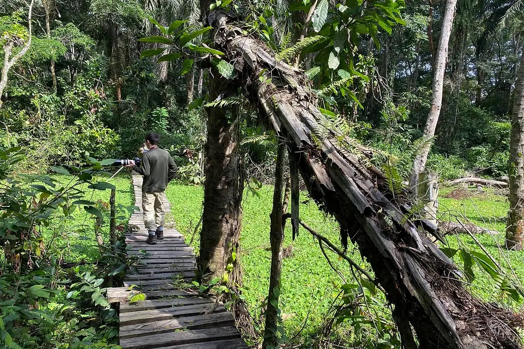 Semuliki National Park Safari Itinerary Ideas