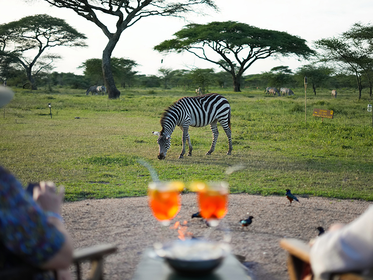 Serengeti South Ndutu Plains
