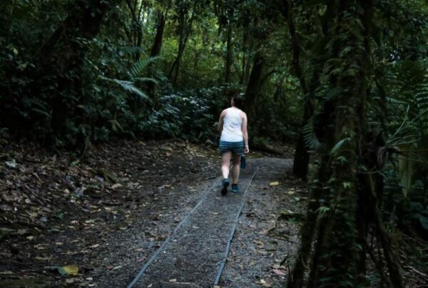 Solo Traveler Guide: Mgahinga Gorilla National Park birding safari for luxury travelers