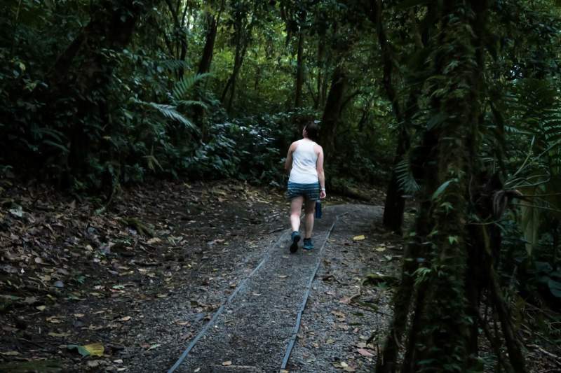 Solo Traveler Guide: Mgahinga Gorilla National Park birding safari for luxury travelers